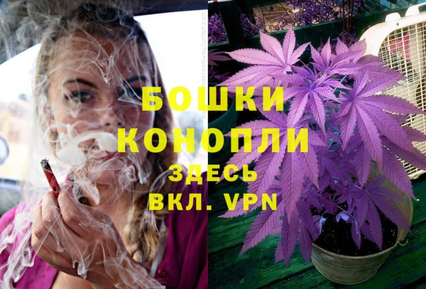 ешки Вязьма