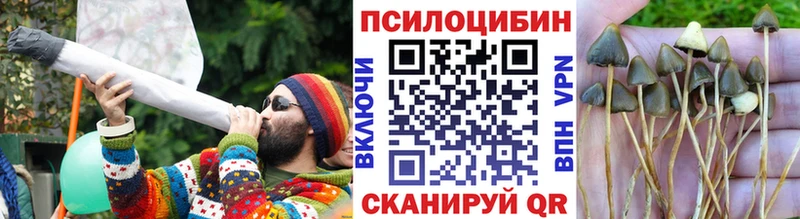 Псилоцибиновые грибы мухоморы  Купить где  Куртамыш 